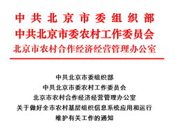 北京农经管理网信息系统运行维护服务的现状与优化策略